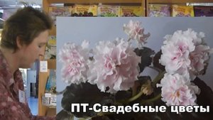ДФ. Н.Скорнякова. Новинки сортов сенполий Т.Пугачёвой