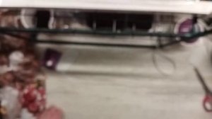 10.03.2023 Посев перца Оранжевый король, Толстопуз