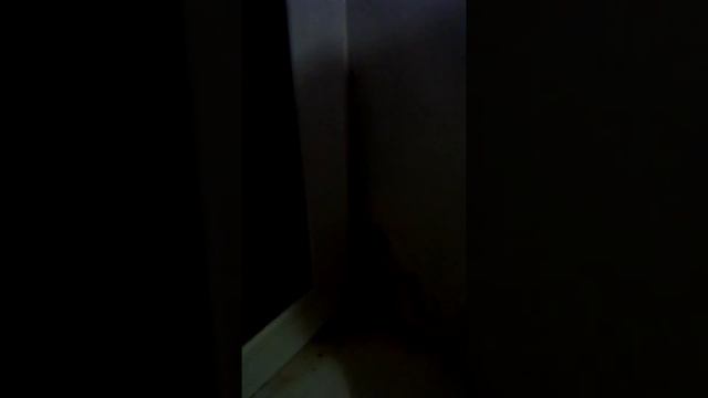 Саво от плесени смотреть онлайн