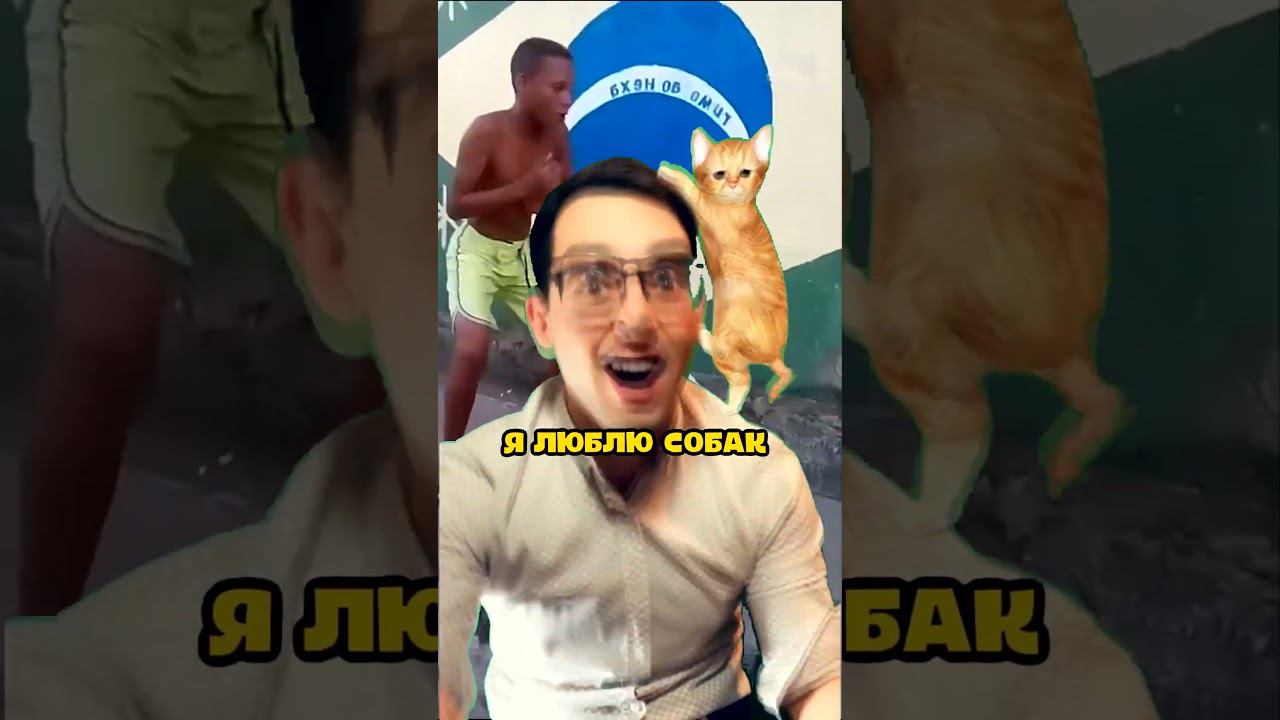 Песня про собак #shorts #приколы #песня смотреть онлайн