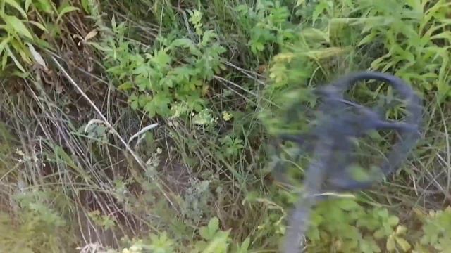 Металлокоп#Не ожидали с сыном найти столько металла в лесополосе!