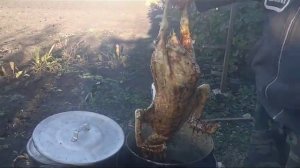 Часть 1. Воскование. Очищение гуся от пера воском!