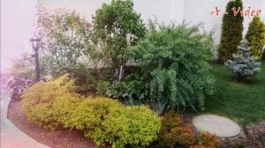 ?Красивый ландшафтный дизайн загородных участков / Original garden design / A - Video