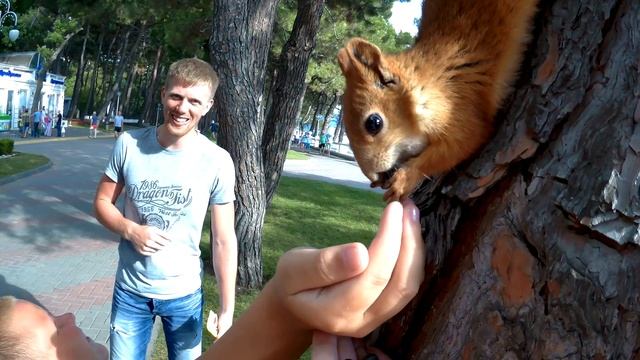 Геленджик 2018. Часть 2.