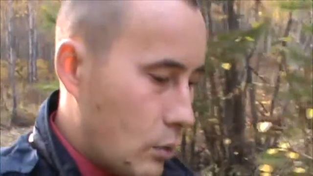 Заимствованная воля смотреть онлайн