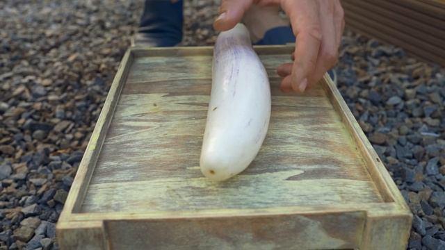 Баклажаны в открытом грунте. Реальный опыт смотреть онлайн