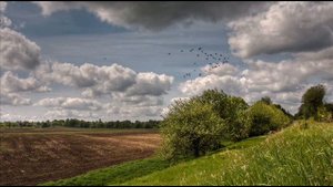 Поет гитарист  Вячеслав Широков.Николай Рубцов  Купавы.