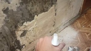 Как избавится от черной плесени? Черная плесень не беда)