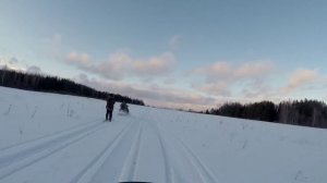 Прогулка на снегоходе Тайга