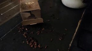 Борьба с тараканами. 100% способ