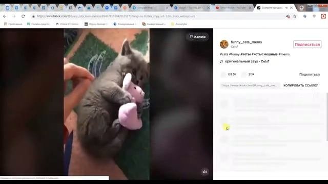 Как накрутить просмотры в ТикТок  Быстрая накрутка просмотров на видео в TikTok  Накрутка ТикТок