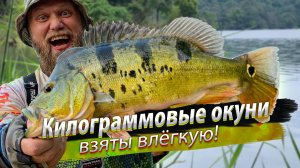 С самого утра КАК НАЧАЛО КЛЕВАТЬ! Вот это рыбалка! Микроджиг и мелкие поверхностные приманки.