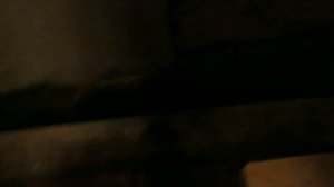 змея в бане 2