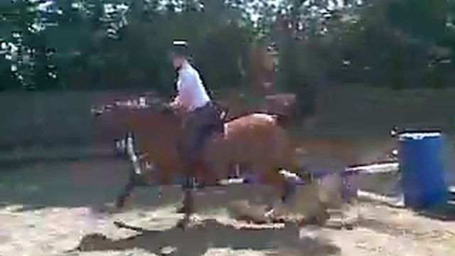 Brujo - 14th June 2010
