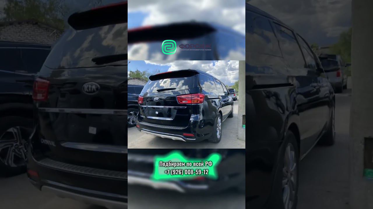 Выдали КИА КАРНИВАЛ БЕЗ ПРОБЕГА ПО РФ #kia #авто #автоподбор #автоэксперты #автомобили #авторынок