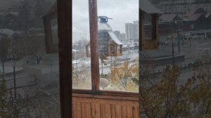 Кормушка для синиц