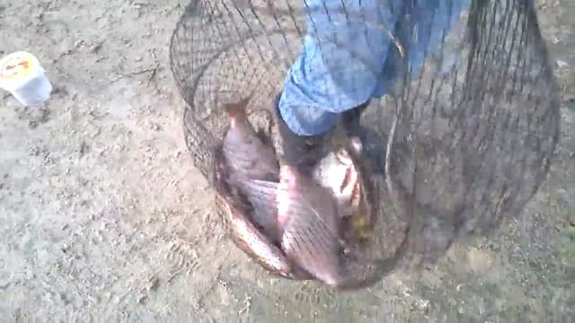 Жена с уловом смотреть онлайн