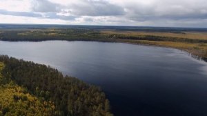 Parrot Bebop. Болота, лес и озера с высоты птичьего полета. Колошма и окрестности.