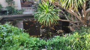 Отель Plumeria 3* Паттайя. " Скромный" завтрак. Ноябрь 2023.