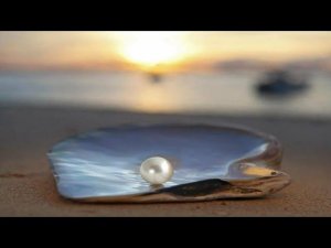 ПРАВО НА ЖИЗНЬ и РОДОВОЙ УДЕЛ: как оберечь, когда вырубят свет и интернет