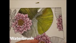 Waterlily in Daydreams using Inktense and Neocolor II