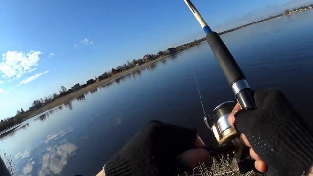 Рыбалка на реке Волхов 04 мая 2023. Донка. смотреть онлайн