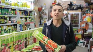 ОБСУЖДАЕМ СИБИРСКИЕ РОЗЫ