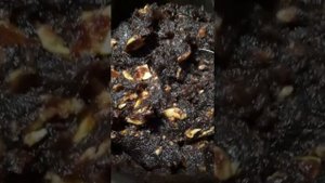 Готовим яблочный сыр к рождеству.