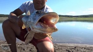 Ловля трофейной щуки на глубине На живца.2020.