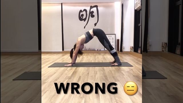 { Ming Yoga Asana Lab } Episode 7.1 - Downward Facing Dog ( #Adho Muka Savasana )