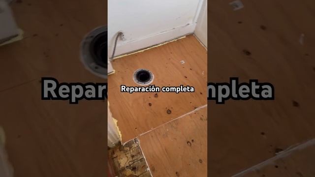 Reparación completa toilet,plomeria,carpintería e instalación de piso vinyl