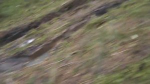 Toyota Cami. Как мы сели в эту яму)).MP4