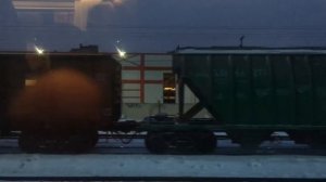 Едем на Сапсане С СОБАКОЙ под НОВЫЙ ГОД!!!