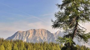 Евангелие и Святые дня. Апостольские чтения. Седмица 4-я. Поминовение усопших. (10.04.2021)