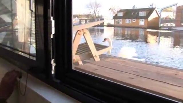 Koen Olthuis Waterstudio.NL on NPR