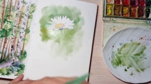 Ромашка акварелью.