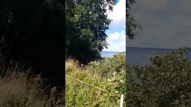 Эстонский музей под открытым небом смотреть онлайн