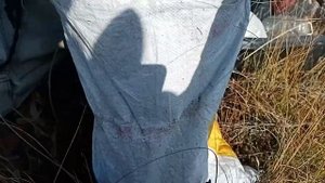 сбор клюквы витамины на зиму.