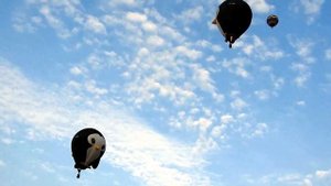 Фестиваль воздушных шаров в Нью-Джерси 2022