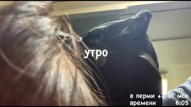 |поездка в Пермь с классом| впервые еду на поезде смотреть онлайн