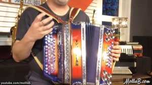 Button Box Diatonic Accordion 101: How a Button Accordion Works with Ted Lange