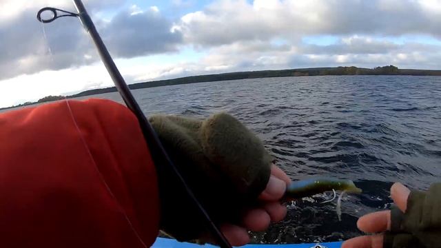 Хищник. Лучшие способы осенней ловли! Часть 2. #рыбалкавкарелии #онего смотреть онлайн