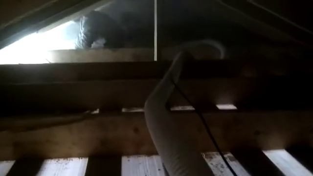 утепление эковатой смотреть онлайн