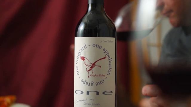 Final Case - ONE Winery 2013 Sonoma Cab Franc Review by Chris Sawyer смотреть онлайн
