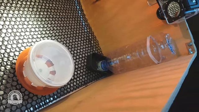 Брудер для перевозки суточных цыплят. Как сделать автомобильный мини-брудер своими руками? смотреть онлайн