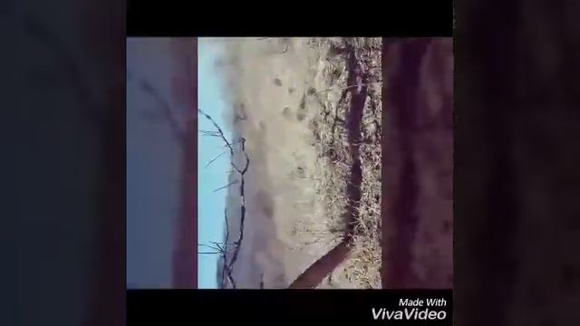 Гиляны смотреть онлайн