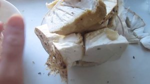 Как готовить трутовик чешуйчатый (Polyporus squamosus). Котлеты из трутовика чешуйчатого. Часть 1