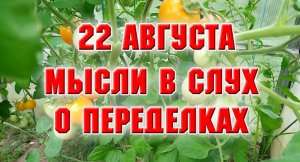 22 августа. Мысли в слух.mp4