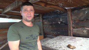 Разведение Морских свинок.