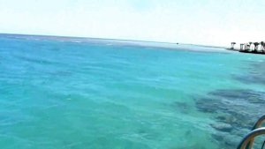 Египет .Хургада. Эль Гуна. Отель  Panorama Bungalows Resort El Gouna 4* .